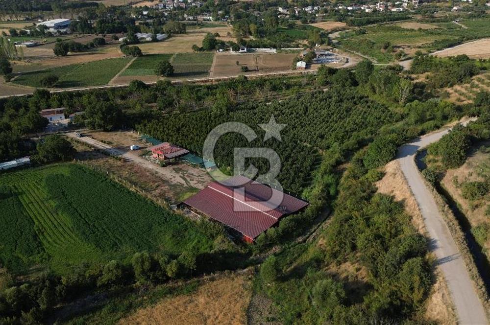 Çanakkale Merkez Saraycık Köyü Satılık 4.781 M² Arazi!