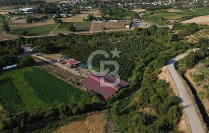 Çanakkale Merkez Saraycık Köyü Satılık 4.781 M² Arazi!