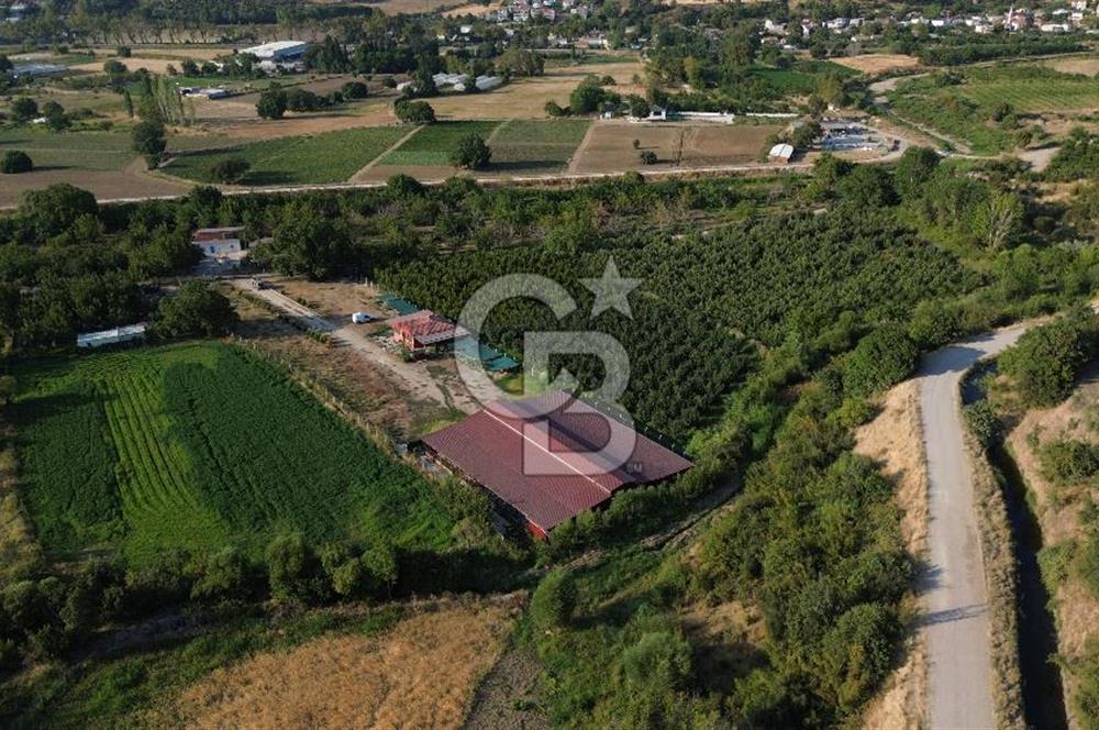 Çanakkale Merkez Saraycık Köyü Satılık 4.781 M² Arazi!
