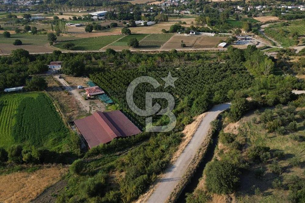Çanakkale Merkez Saraycık Köyü Satılık 4.781 M² Arazi!