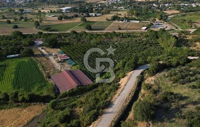 Çanakkale Merkez Saraycık Köyü Satılık 4.781 M² Arazi!
