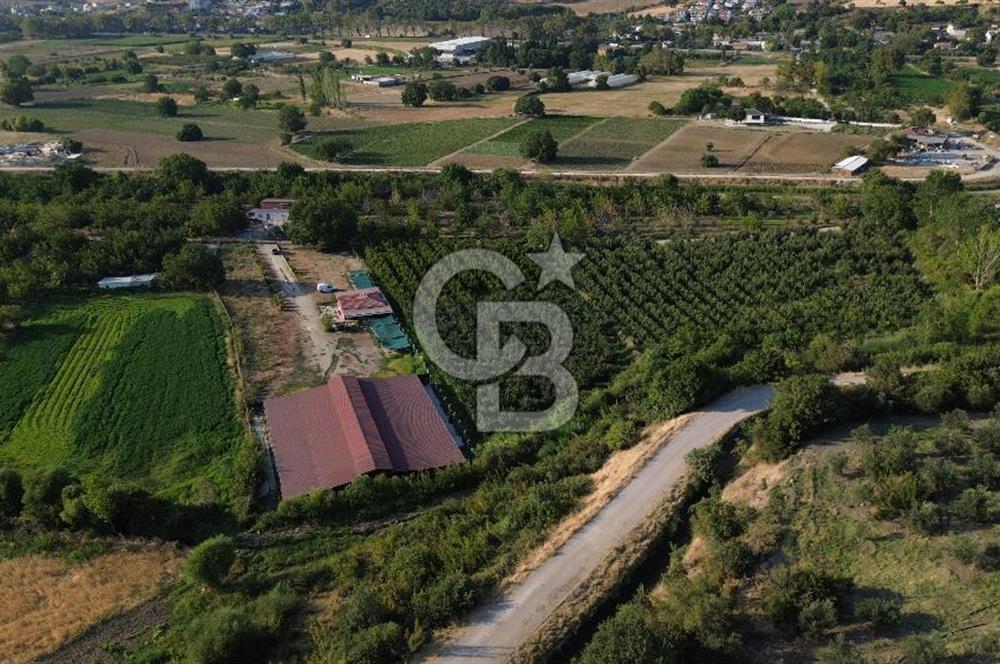 Çanakkale Merkez Saraycık Köyü Satılık 4.781 M² Arazi!