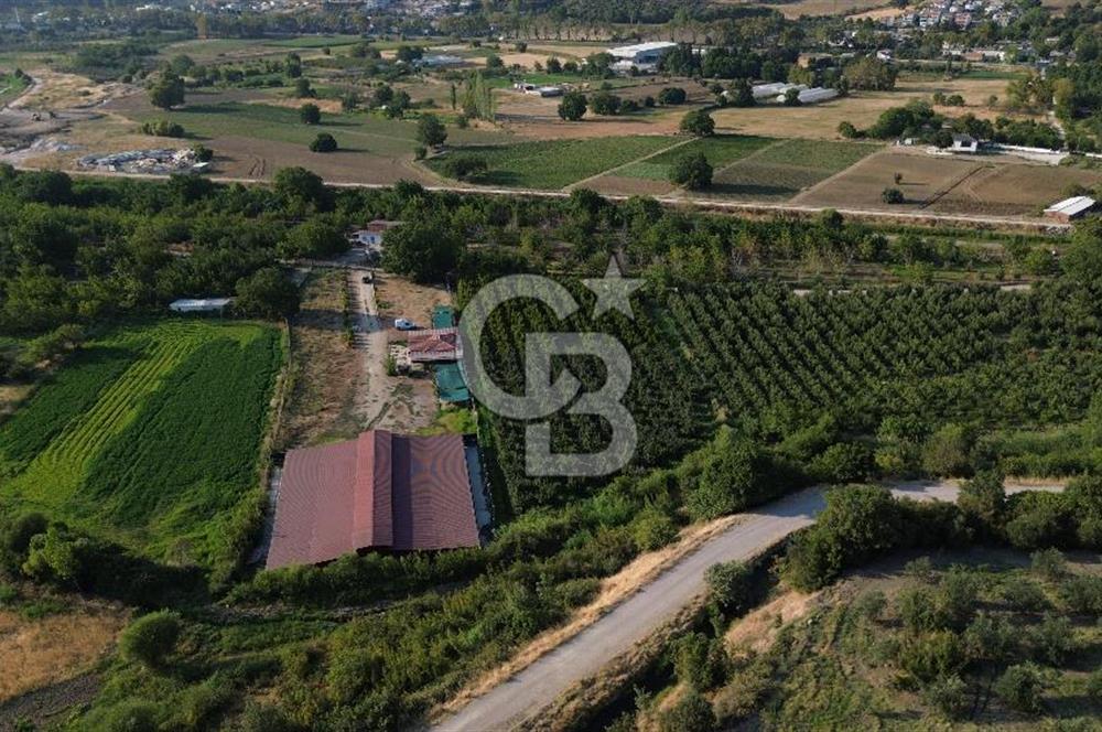 Çanakkale Merkez Saraycık Köyü Satılık 4.781 M² Arazi!
