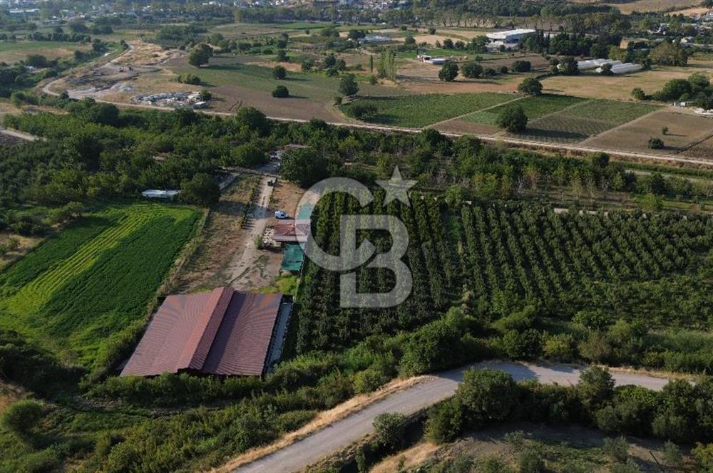 Çanakkale Merkez Saraycık Köyü Satılık 4.781 M² Arazi!