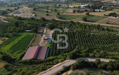 Çanakkale Merkez Saraycık Köyü Satılık 4.781 M² Arazi!