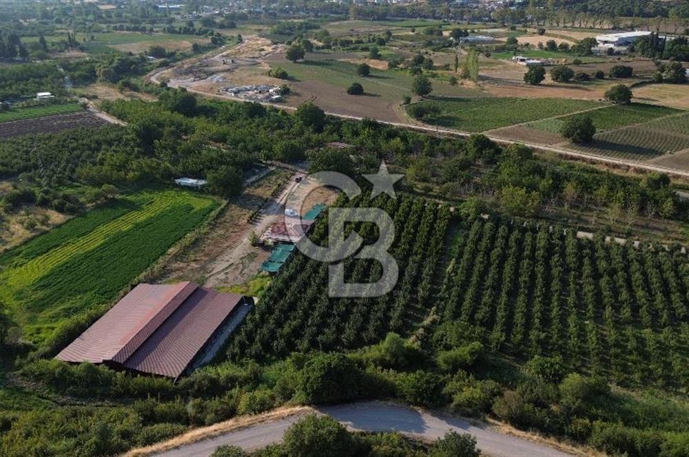 Çanakkale Merkez Saraycık Köyü Satılık 4.781 M² Arazi!