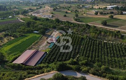Çanakkale Merkez Saraycık Köyü Satılık 4.781 M² Arazi!