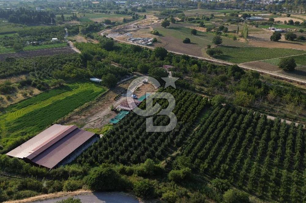 Çanakkale Merkez Saraycık Köyü Satılık 4.781 M² Arazi!