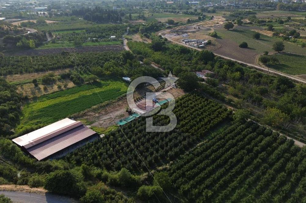 Çanakkale Merkez Saraycık Köyü Satılık 4.781 M² Arazi!