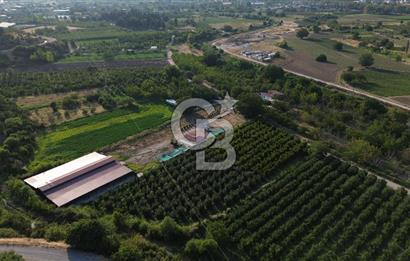 Çanakkale Merkez Saraycık Köyü Satılık 4.781 M² Arazi!