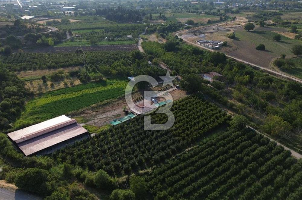 Çanakkale Merkez Saraycık Köyü Satılık 4.781 M² Arazi!