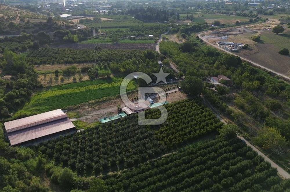 Çanakkale Merkez Saraycık Köyü Satılık 4.781 M² Arazi!