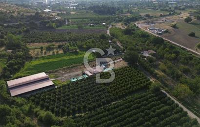 Çanakkale Merkez Saraycık Köyü Satılık 4.781 M² Arazi!