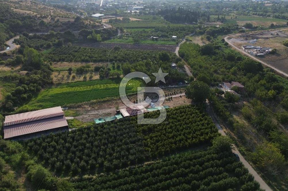 Çanakkale Merkez Saraycık Köyü Satılık 4.781 M² Arazi!
