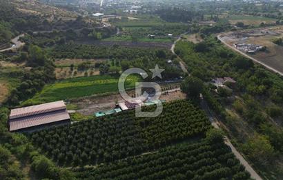 Çanakkale Merkez Saraycık Köyü Satılık 4.781 M² Arazi!