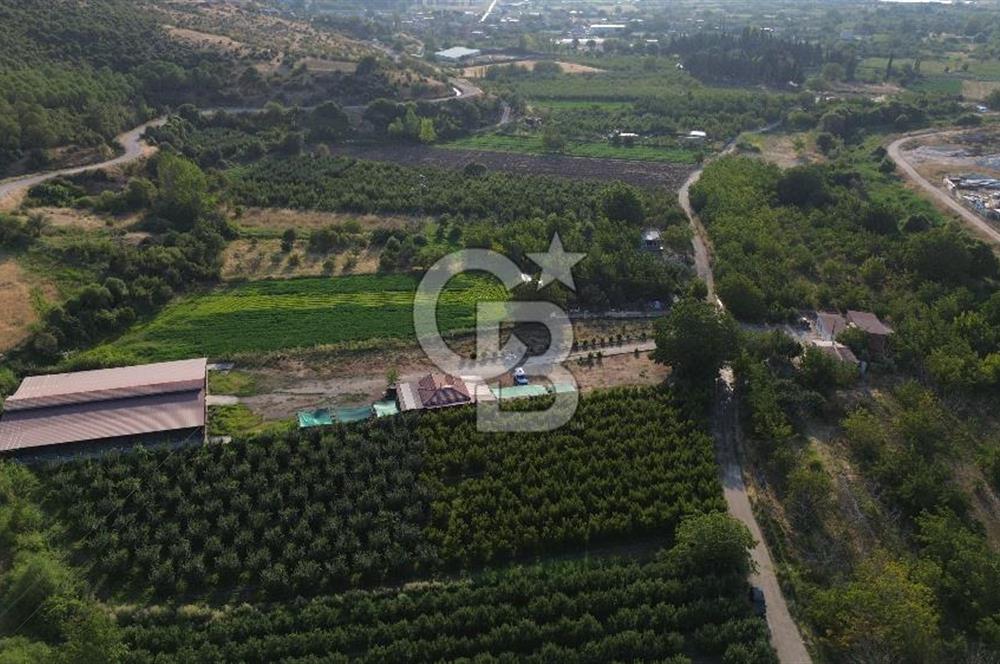 Çanakkale Merkez Saraycık Köyü Satılık 4.781 M² Arazi!
