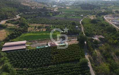 Çanakkale Merkez Saraycık Köyü Satılık 4.781 M² Arazi!