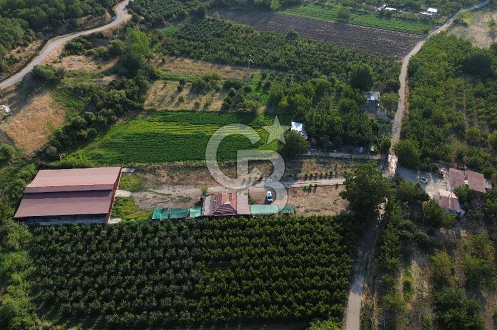 Çanakkale Merkez Saraycık Köyü Satılık 4.781 M² Arazi!