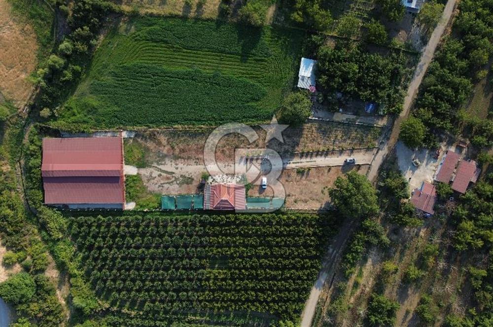 Çanakkale Merkez Saraycık Köyü Satılık 4.781 M² Arazi!