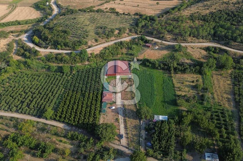 Çanakkale Merkez Saraycık Köyü Satılık 4.781 M² Arazi!
