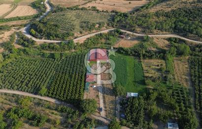 Çanakkale Merkez Saraycık Köyü Satılık 4.781 M² Arazi!