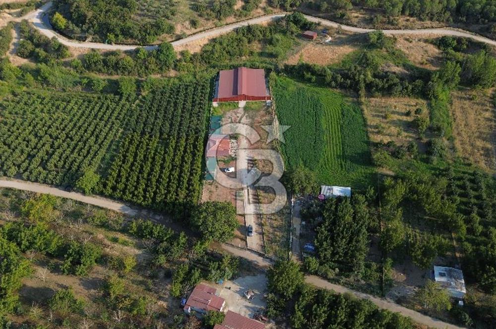 Çanakkale Merkez Saraycık Köyü Satılık 4.781 M² Arazi!