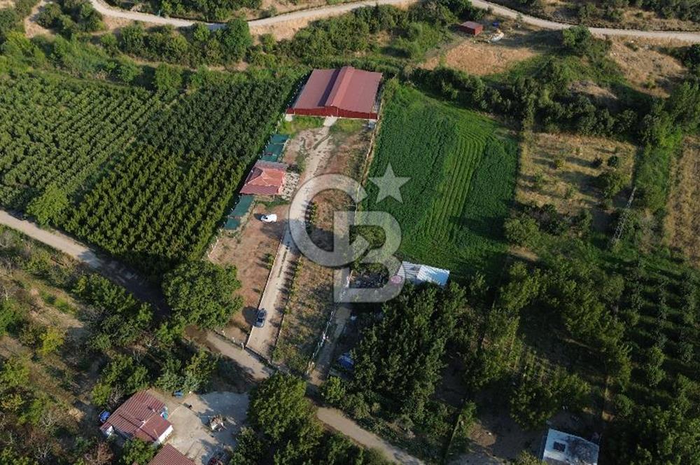 Çanakkale Merkez Saraycık Köyü Satılık 4.781 M² Arazi!