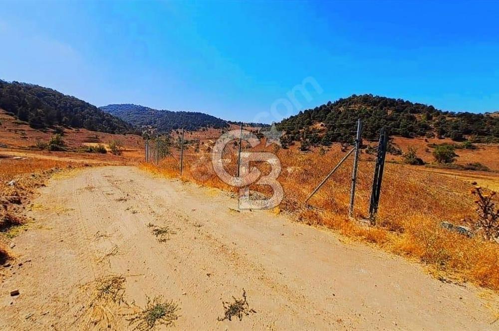 Balıkesir Sındırgı Çift Yola Cepheli Fırsat Satılık Tarla