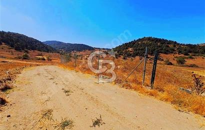 Balıkesir Sındırgı Çift Yola Cepheli Fırsat Satılık Tarla