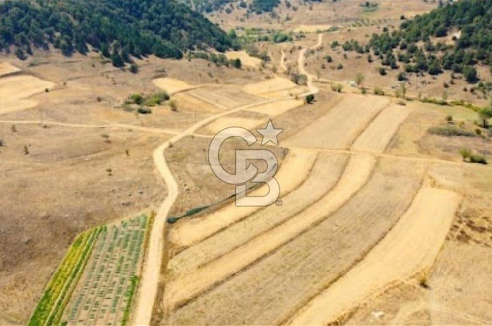 Balıkesir Sındırgı Çift Yola Cepheli Fırsat Satılık Tarla