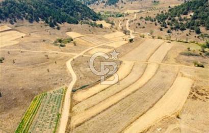 Balıkesir Sındırgı Çift Yola Cepheli Fırsat Satılık Tarla