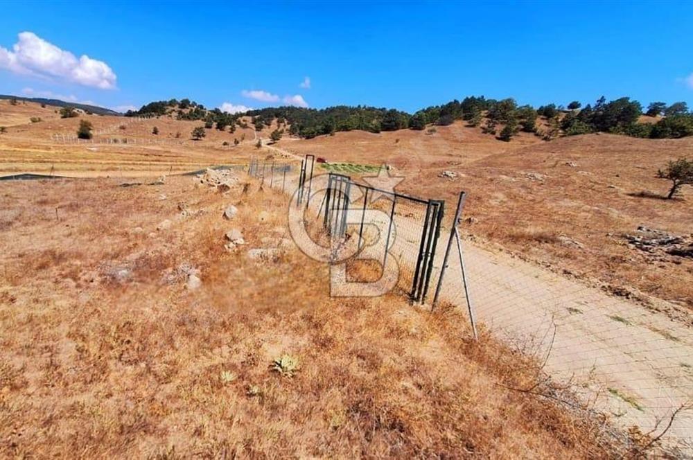Balıkesir Sındırgı Çift Yola Cepheli Fırsat Satılık Tarla