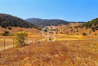Balıkesir Sındırgı Çift Yola Cepheli Fırsat Satılık Tarla - 3 - 368224