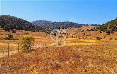 Balıkesir Sındırgı Çift Yola Cepheli Fırsat Satılık Tarla