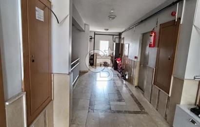 Şile Ahmetli TOKİ'de Boş 2+1 Daire 