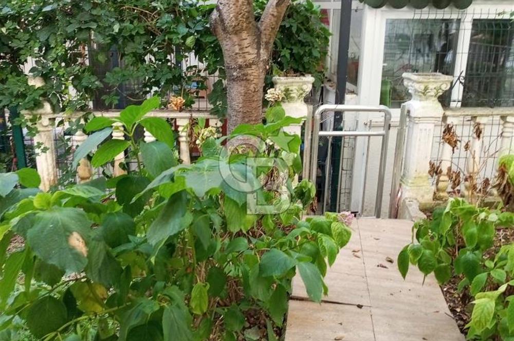 https://www.sahibinden.com/ilan/emlak-konut-kiralik-sile-sanatkent-te-bahceli-mustakil-tadinda-1-plus0-studyo-1335357380/detay/#:~:text=%C5%9E%C4%B0LE%20SANATKENT%27TE%20BAH%C3%87EL%C4%B0%20M%C3%9CSTAK%C4%B0L%20TADINDA%201%2B0%20(ST%C3%9CDYO)