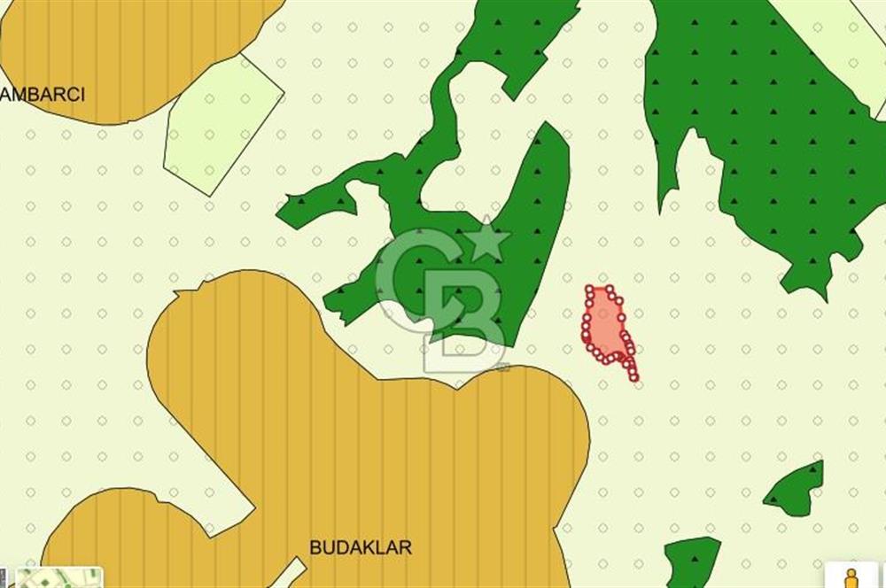 CB AKADEMİ AMBARCI YOLA 1 PARSEL KÖYE YAKIN SATILIK 5435 M2 ARSA