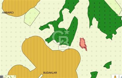 CB AKADEMİ AMBARCI YOLA 1 PARSEL KÖYE YAKIN SATILIK 5435 M2 ARSA