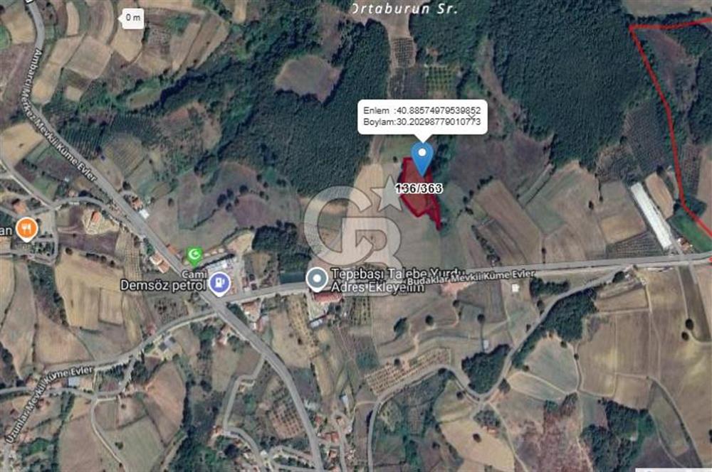 CB AKADEMİ AMBARCI YOLA 1 PARSEL KÖYE YAKIN SATILIK 5435 M2 ARSA