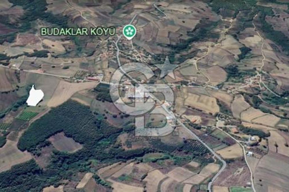 CB AKADEMİ AMBARCI YOLA 1 PARSEL KÖYE YAKIN SATILIK 5435 M2 ARSA