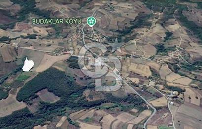 CB AKADEMİ AMBARCI YOLA 1 PARSEL KÖYE YAKIN SATILIK 5435 M2 ARSA
