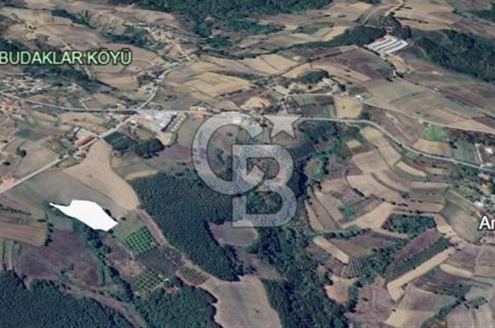 CB AKADEMİ AMBARCI YOLA 1 PARSEL KÖYE YAKIN SATILIK 5435 M2 ARSA