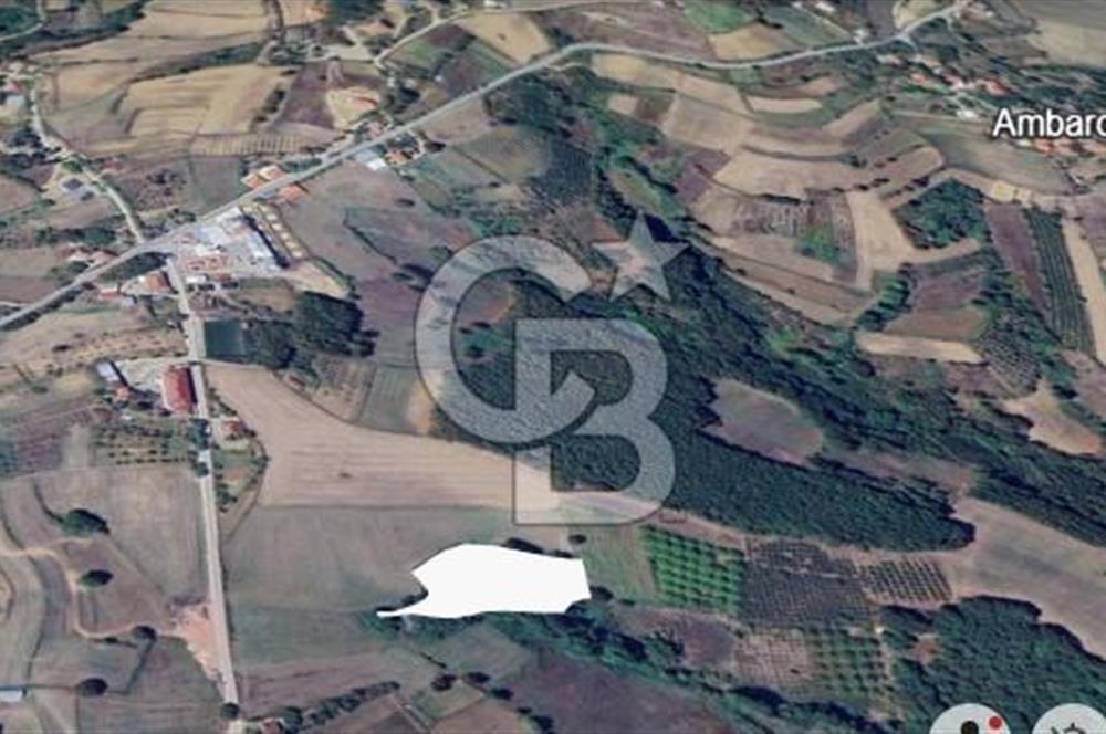 CB AKADEMİ AMBARCI YOLA 1 PARSEL KÖYE YAKIN SATILIK 5435 M2 ARSA