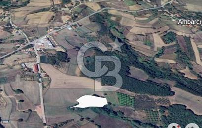 CB AKADEMİ AMBARCI YOLA 1 PARSEL KÖYE YAKIN SATILIK 5435 M2 ARSA