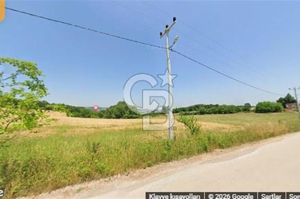 CB AKADEMİ AMBARCI YOLA 1 PARSEL KÖYE YAKIN SATILIK 5435 M2 ARSA