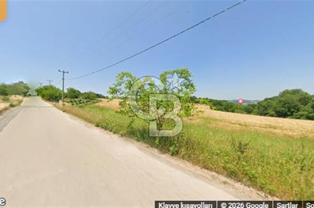 CB AKADEMİ AMBARCI YOLA 1 PARSEL KÖYE YAKIN SATILIK 5435 M2 ARSA