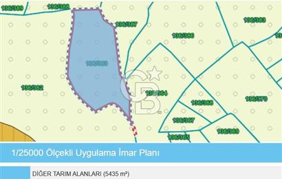 CB AKADEMİ AMBARCI YOLA 1 PARSEL KÖYE YAKIN SATILIK 5435 M2 ARSA