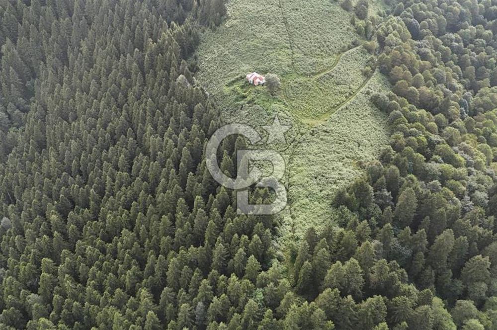 CB NET GAYRİMENKUL'DEN MAÇKA BAKIMLI MAH. SATILIK ARAZİ
