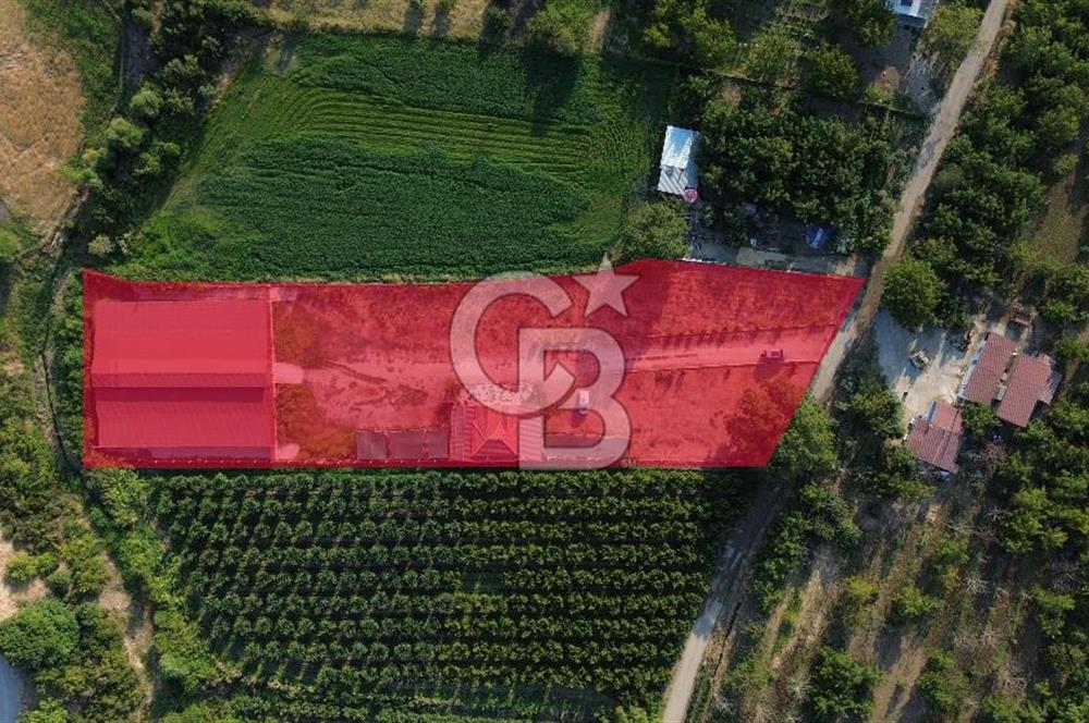 Çanakkale Merkez Saraycık Köyü Satılık 4.781 M² Arazi!