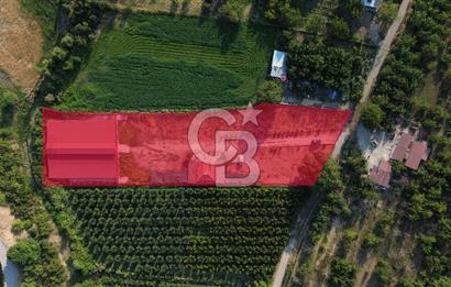 Çanakkale Merkez Saraycık Köyü Satılık 4.781 M² Arazi!